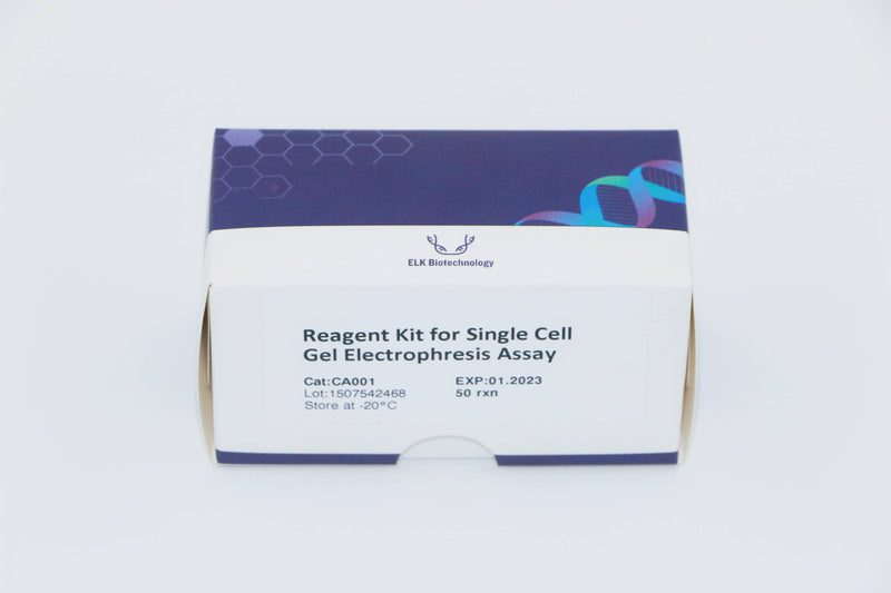 Reagent Kit for Single Cell Gel Electrophresis Assay