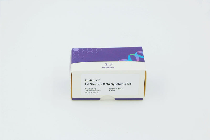 EntiLink™ 1st Strand cDNA Synthesis Kit (+gDNA Eraser)