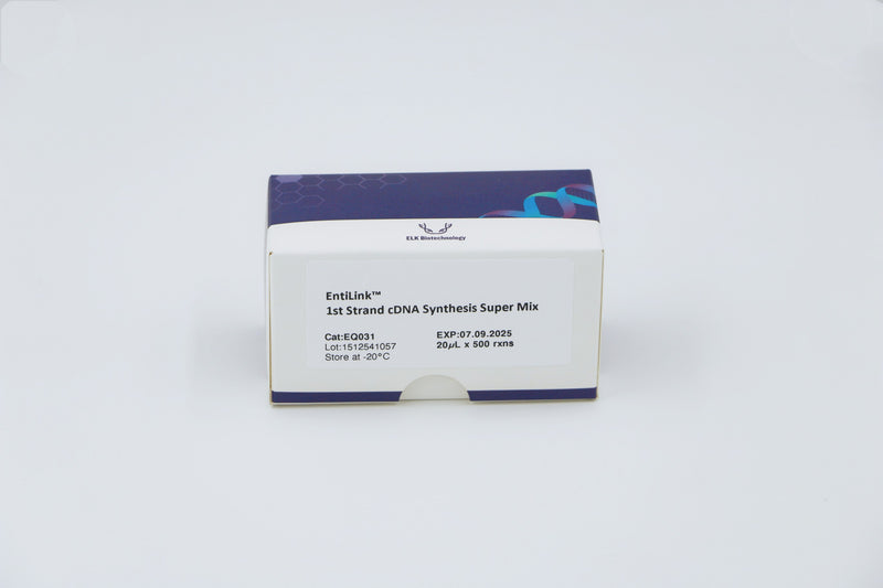 EntiLink™ 1st Strand cDNA Synthesis Super Mix