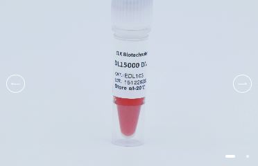 DL15000 DNA Marker | EDL103